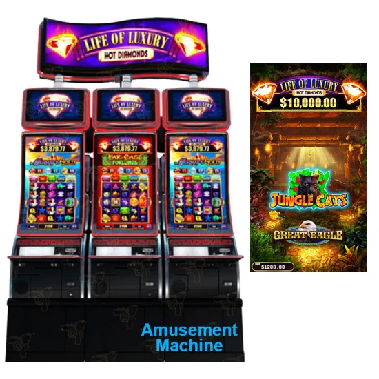 Machine de casino extrêmement amusante, bonne vente, vie verticale du luxe, armoire de salle de jeu 2 en 1